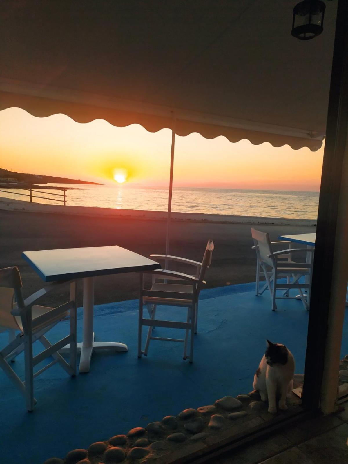 Meltemi Beach Apartments Милатос Экстерьер фото